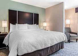 Clarion Inn & Suites Atlanta Downtown 3