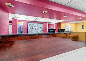 Super 8 by Wyndham Gaffney 4