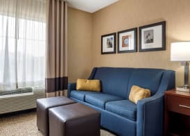 Comfort Inn Meadowlands 5