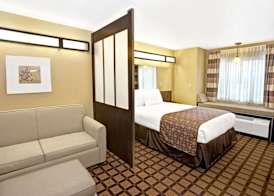 Microtel Inn & Suites by Wyndham Cartersville 4