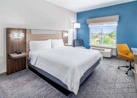 Holiday Inn Express & Suites DENVER NORTH - THORNTON by IHG 4