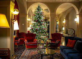 Hotel Villa Flori 3