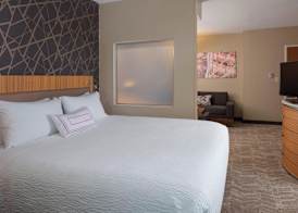 SpringHill Suites St. Louis Airport/Earth City 5