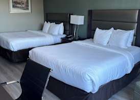 City Express by Marriott Port Hope 5