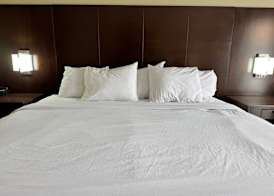 Quality Inn & Suites Tuscaloosa near University 3