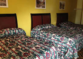 Flamingo Inn 5