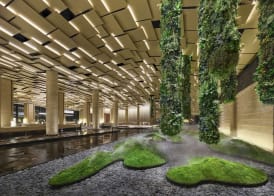 Hilton Nanjing Niushoushan 3