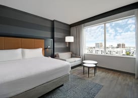 Holiday Inn Express HOUSTON - GALLERIA AREA by IHG 3