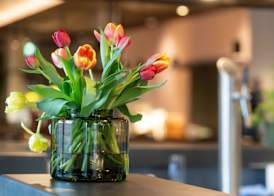 Burgau Hotel Sonnenhof 3