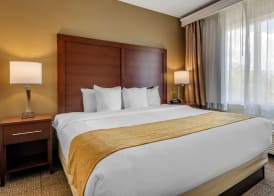 Comfort Suites Tamarac Sawgrass 5