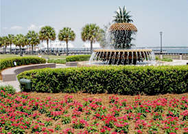 DoubleTree by Hilton Charleston Riverview 2