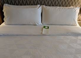 Holiday Inn CHAMPAIGN by IHG 3
