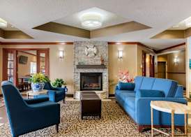 Comfort Suites Stevensville - St Joseph 3