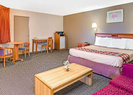 Super 8 by Wyndham Upland Ontario CA 5