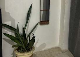 AVO Boutique Hotel 3