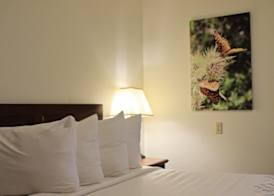 Bowen Motel 5
