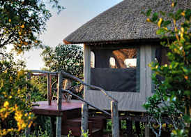 Addo Elephant Safari Lodge - Bellevue Forest Reserve 2