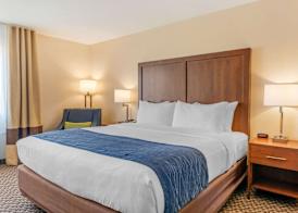Comfort Inn & Suites near Route 66 5