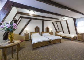 Hotel Cerny Slon 4