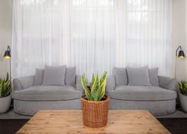 Ohia Waikiki Studio Suites 3