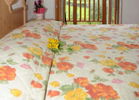 Agritur Girardelli 4