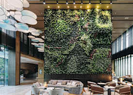 Hyatt Regency Shanghai Pudong Lingang 4