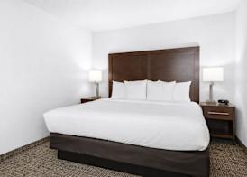 Comfort Suites Baymeadows Near Butler Blvd 4