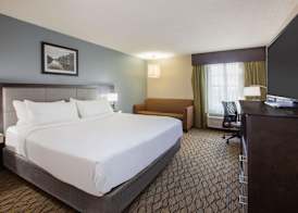 Wingate by Wyndham Roseville/Detroit 3