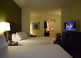 Holiday Inn Express & Suites GENEVA FINGER LAKES by IHG 3