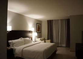 Holiday Inn CAMPECHE by IHG 4