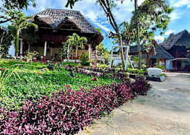 Tropinest bungalows & hostel 3