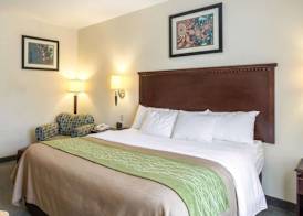 Quality Inn Donaldsonville - Gonzales 4