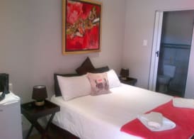Gorgeous Gecko Guesthouse 3