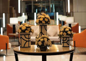 Radisson Blu Pune Hinjawadi 5