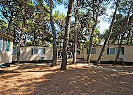 Arena Stupice Campsite 4