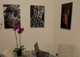 Alvino Suite And Breakfast 4