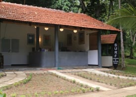 Talalla Retreat 3