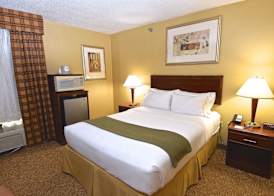 Holiday Inn Express & Suites ST. LOUIS WEST - FENTON by IHG 5