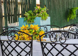 Hotel Sunshine - Karol Bagh Budget Stay at New Delhi 2