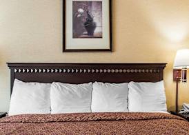 Econo Lodge Elmira-Corning 5