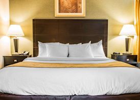 Comfort Inn Whitehall near Michigan's Adventure 4