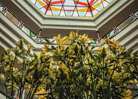 Metropolitan Al Mafraq Hotel 2