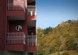Los Acebos Cangas 5