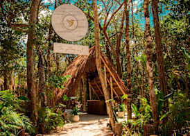 The Yellow Nest Tulum 2