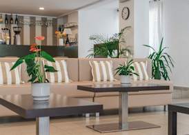 Hotel Carmen 2