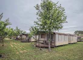Camping Girasole 3