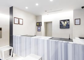 Villa Fontaine Tokyo Shinjuku 4
