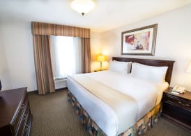 Holiday Inn & Suites WEST EDMONTON by IHG 2