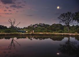 Leopard Hills Private Game Reserve 5