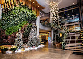 Marriott Virginia Beach Oceanfront Resort 2